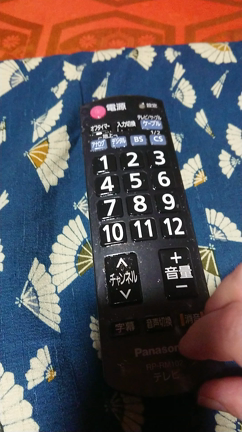 リモコンの掃除の記事動画