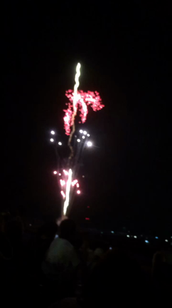久々の花火大会の記事動画