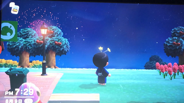 あつ森で嵐の花火の記事動画