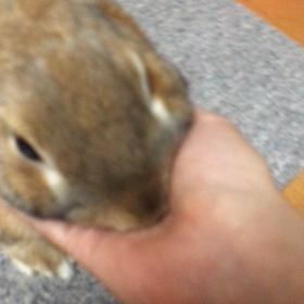2016/10/17の画像
