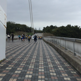 逃げる‼️逃げる‼️逃げる‼️の画像