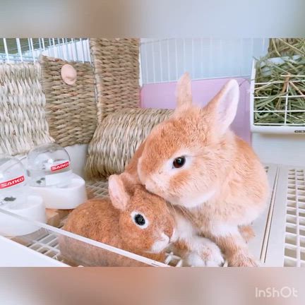 うっしゃんこさんのプロフィールページ