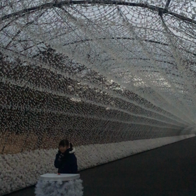 なばなの里動画の画像
