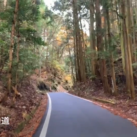 チャリ遍路旅2日目ムービー②の画像