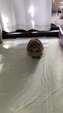 激しい(笑)の記事動画