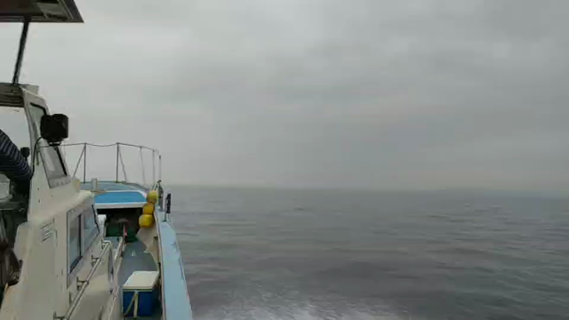 2度寝の記事動画
