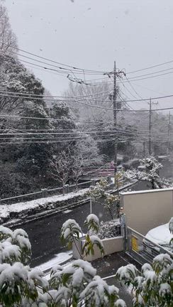 雪降るってか❓の記事動画