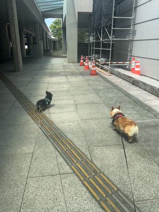 夏の食欲減退対策の記事動画