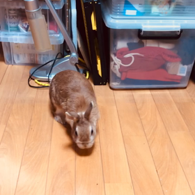 新しい遊び場所みっけ«٩(*´ ꒳ `*)۶»の画像