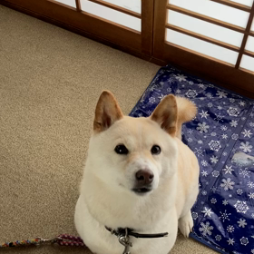 下手くそ〜^_^の画像
