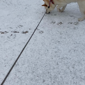 除雪者の画像