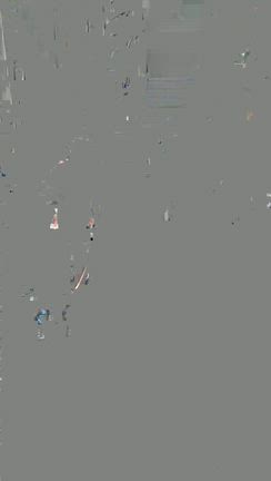 新宿歌舞伎町 ゴジラロードの記事動画