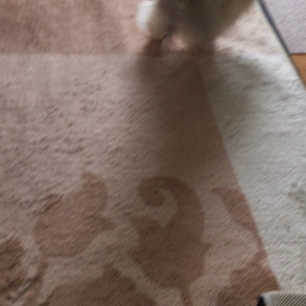 どぉした⁉️の画像