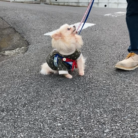 おっ！の画像