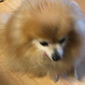 元気になってきました！の画像