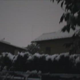 世界的にの画像