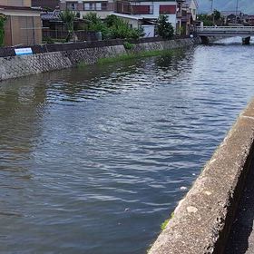 8月11日の画像