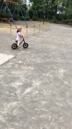 ストライダーとゆづちゃん。。の記事動画