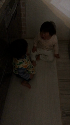 毎日の日課の記事動画