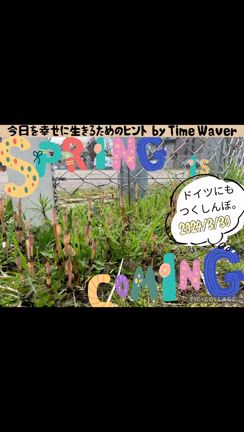 2024/03/30の記事動画