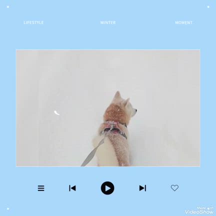 積雪１ｍ越えの記事動画