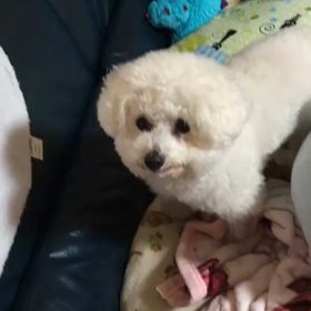 やっと私はの画像