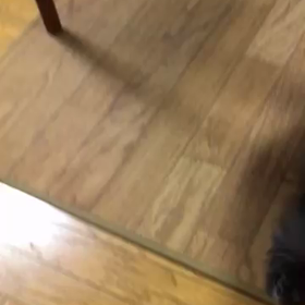 今日はの画像