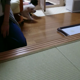 今日はの画像