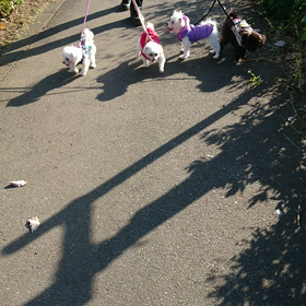 昨日はの画像