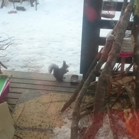 今日も、仕事ネタではありませが(笑)の画像