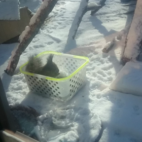 いよいよ。の画像