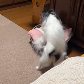 へろへろの画像