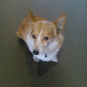 明けましておめでとうございます！の画像