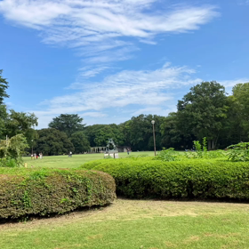 至る所に至る夏〜の画像