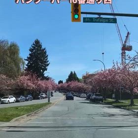 2026/04/21の画像