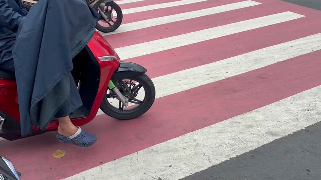 10車線…。の記事動画