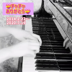 愛猫を偲んで♪♪の画像
