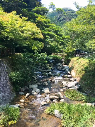 【旅コーデ解説あり】２泊3日の九州旅行Part1の記事動画