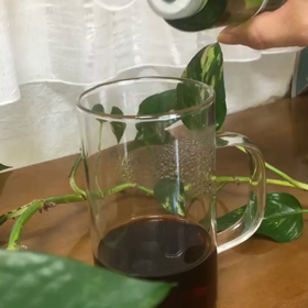 インスタ配信撮影の画像