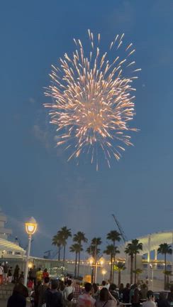 花火にフラダンスにポートタワーの記事動画