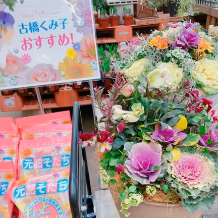 さすが年末の記事動画