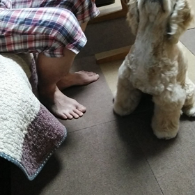 首のストレッチの画像