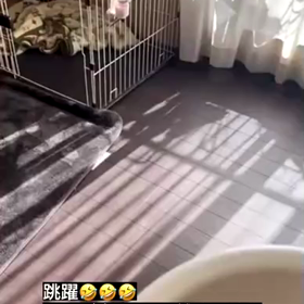 誰もいない時はの画像