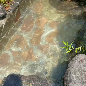 水遊びの画像