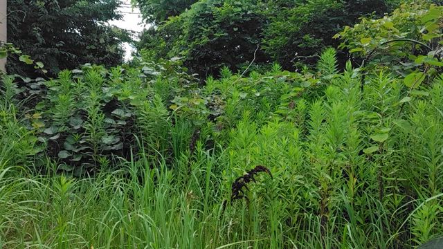 関西ー関東 単身往復ドライブの記事動画