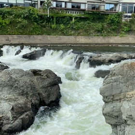 涼の画像
