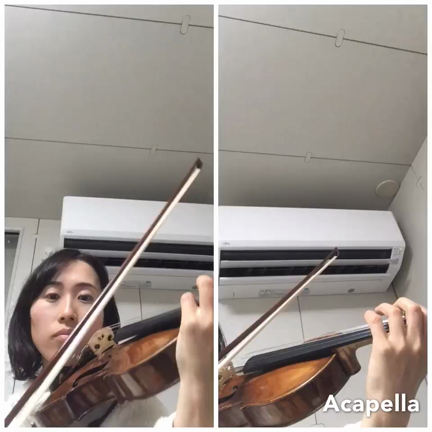 一人アンサンブルの記事動画