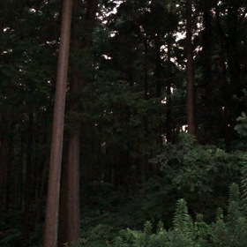 閑さや岩にしみ入る蝉の声？の画像