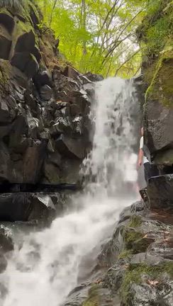 九頭龍神社から九頭龍の滝へ ＊ 滝行の記事動画