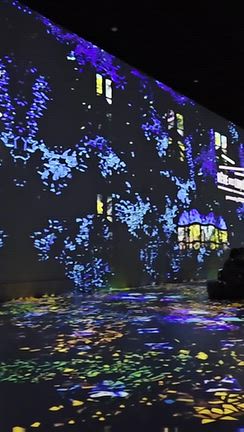 Reve  Des  Lumieres～ レーヴ デ リュミエール ～ ★ 東京ドリームパークの記事動画
